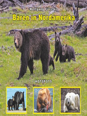 cover image of Bären in Nordamerika